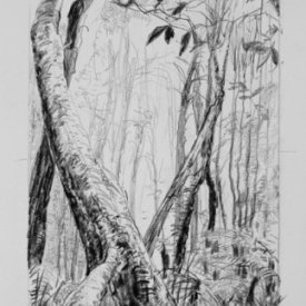 Cathedral of Ferns 4  sketch  carbon pencil on paper 33cm x 11cm 2013