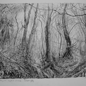 Entry Point, Bespattered With Mire, Sassafras Gully  carbon pencil on cotton paper 36cm x 27cm 2013