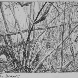 Heart of the Darkness, Sassafras Gully carbon pencil on paper 33cm x 13cm 2013