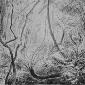 Cathedral of Ferns 7 carbon pencil on paper 29x19cm 2013