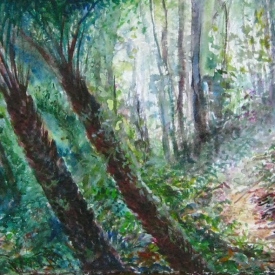 Cathedral of Ferns 3, Mt Wilson watercolour on rag paper 102x21cm 2013 framed- white box float mount deckled edge