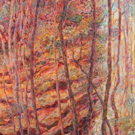 Coachwoods of Witches Leap  oil on canvas 50cm x 150cm  2009