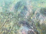 Water-Garden-no.1-Jenolan-River.-oil-on-canvas-108cmx76cm-2021-1800-scaled