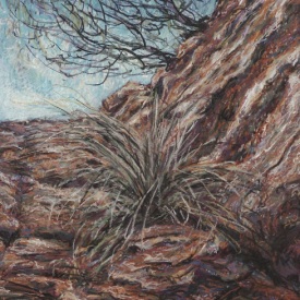 Prince Henry Cliff  Walk 2  conte on paper  30cm x 45cm  2006