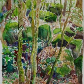 Jungle Circuit  10  watercolour on paper 10x15cm 2017