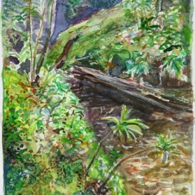 Jungle Circuit 19  watercolour on paper 10x15cm 2017