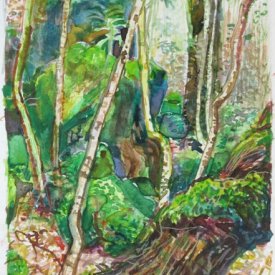 Jungle Circuit 24  watercolour on paper 10x15cm 2017