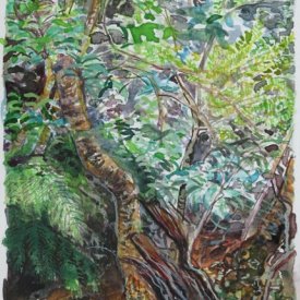 Jungle Circuit 29  watercolour on paper 10x15cm 2017