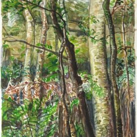 Jungle Circuit 33  watercolour on paper 10x15cm 2017