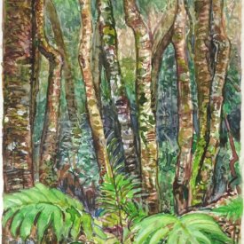 Jungle Circuit 34  watercolour on paper 10x15cm 2017