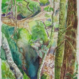Jungle Circuit 4  watercolour on paper 10x15cm 2017