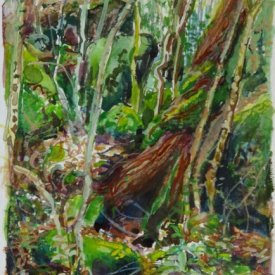 Jungle Circuit 7  watercolour on paper 10x15cm 2017