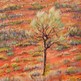 Desert Oak, Uluru  gouache on paper 13cm x 20cm  2010