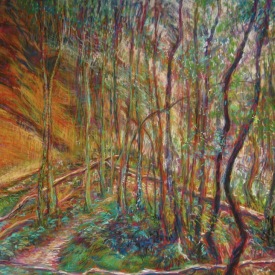 Mermaid  Cave 12   conte on paper 96cm x 76cm  2012