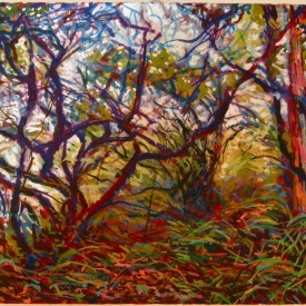 Teatree Understory  gouache on paper  28cm x 18cm 2010 sold