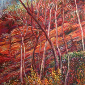 Bush in Bloom  oil on canvas 60cm x 90cm  2010