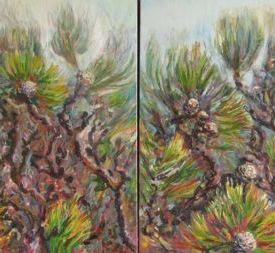 Drumstick Bush 3  diptych oil on canvas 152cm x 60cm  2012