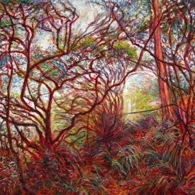 Understory, Katoomba Falls Track 1  oil on canvas 107cm x 76cm  2010