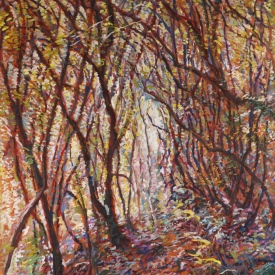 Black Wattle Morning  oil on canvas  76cm x 107cm  2010