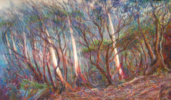 'Commended' in Blackheath Winter Open Prize 2012 judge: Colin Lanceley conte on paper 112x75cm