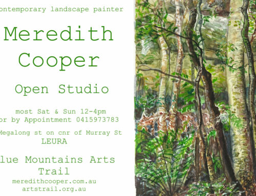 ‘rainforest gorges & waterways’  studio exhibition
