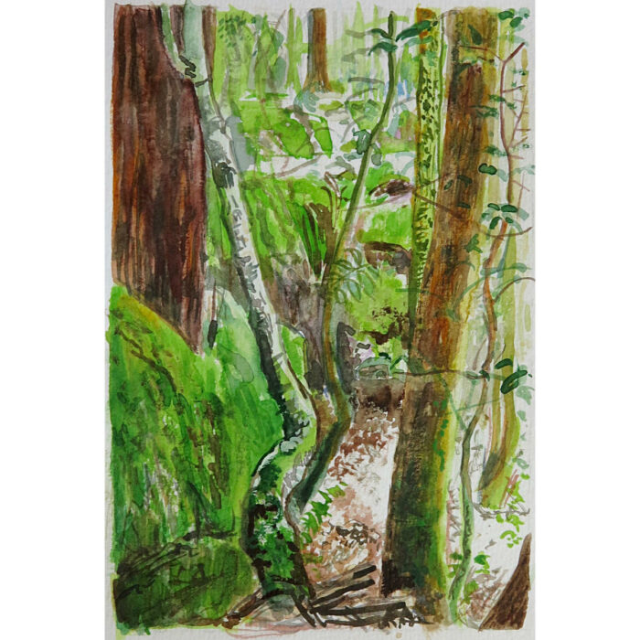 Jungle Circuit 1
