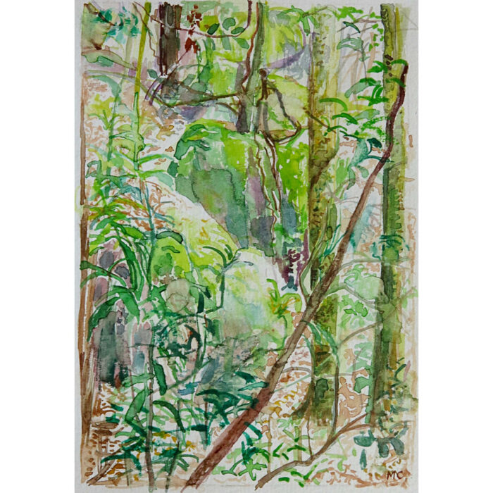 Jungle Circuit 2