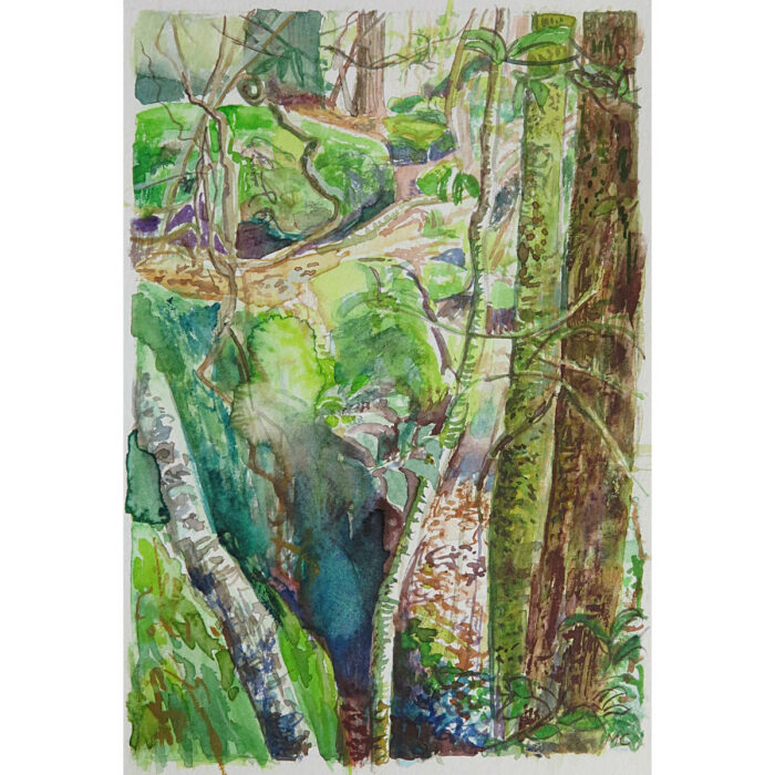 Jungle Circuit 4