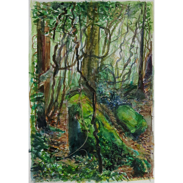 Jungle Circuit 8
