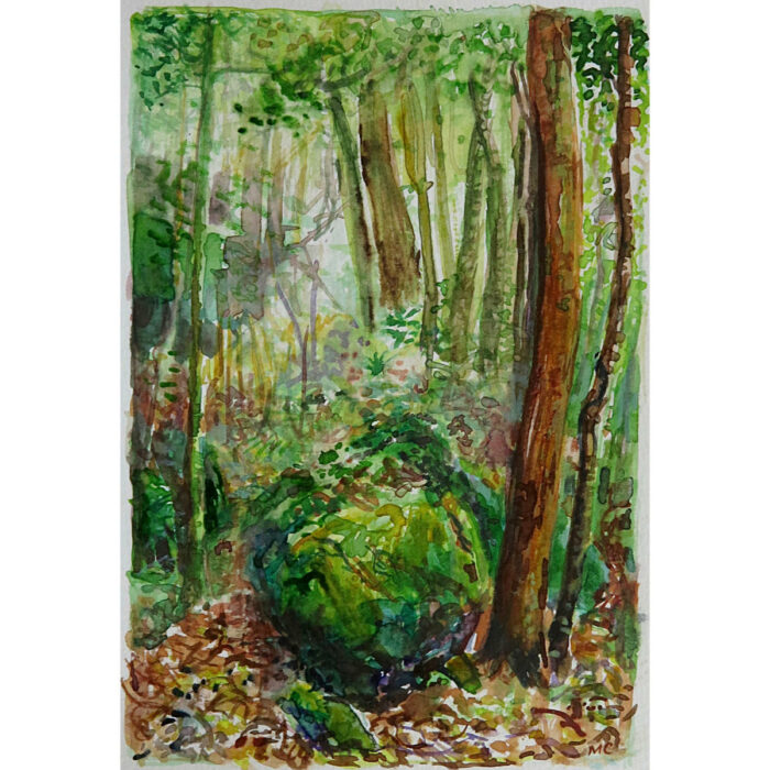 Jungle Circuit 9