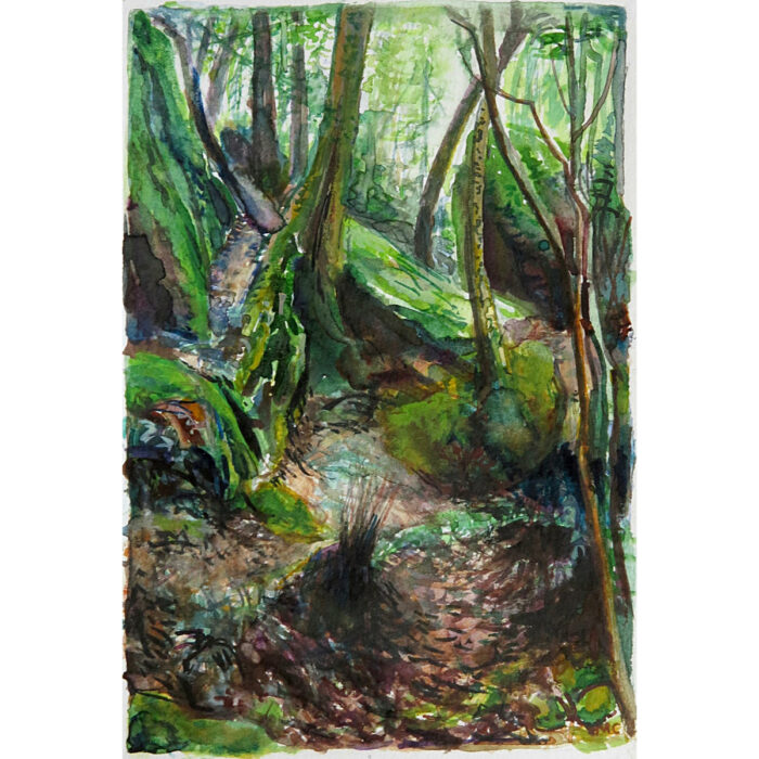 Jungle Circuit 12