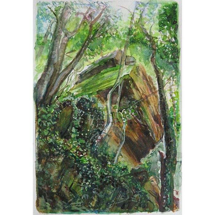 Jungle Circuit 13