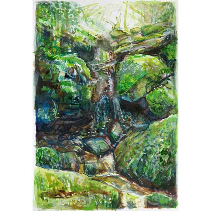 Jungle Circuit 15