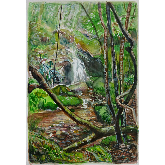 Jungle Circuit 16