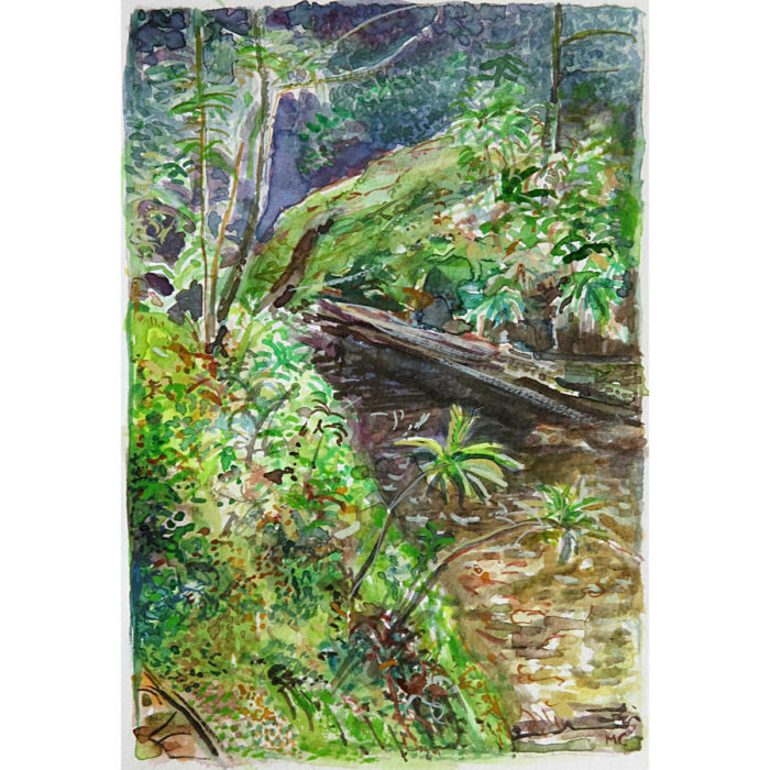 Jungle Circuit 19