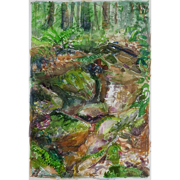 Jungle Circuit 21