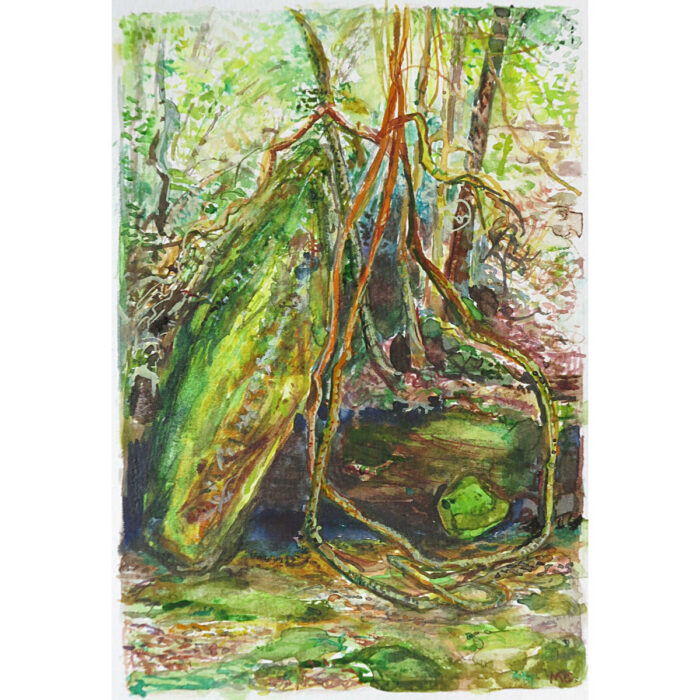 Jungle Circuit 26