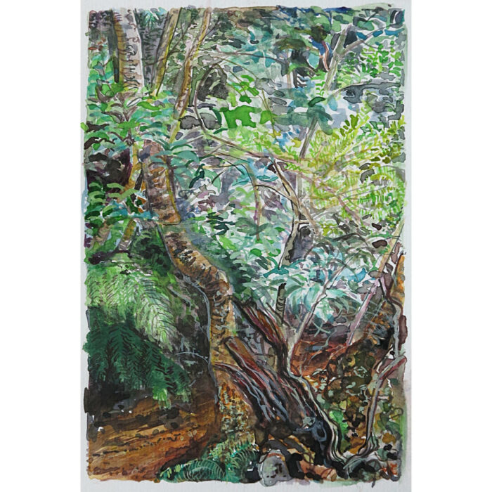 Jungle Circuit 29
