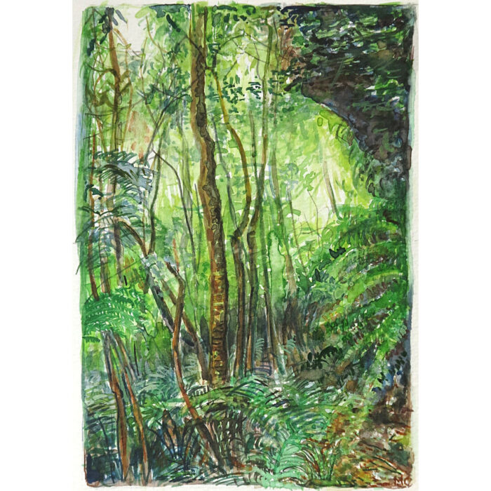 Jungle Circuit 35