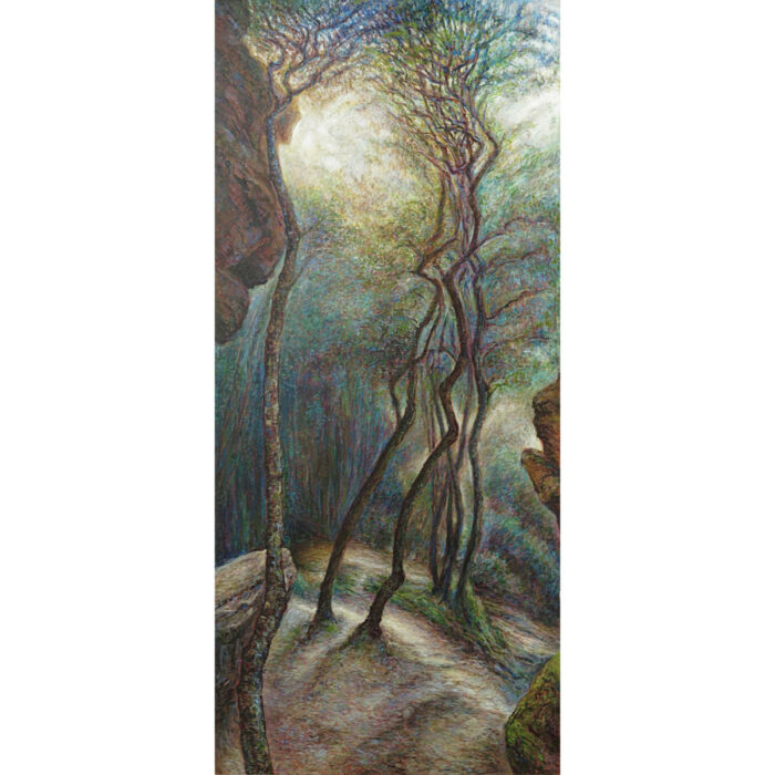 Mermaid Cave Canyon No. 4