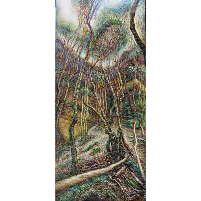 Mermaid Cave Canyon No. 6