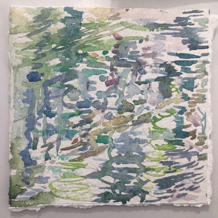 Blue Lake Study