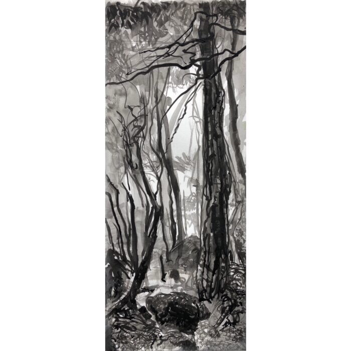 Canyon Forest 1