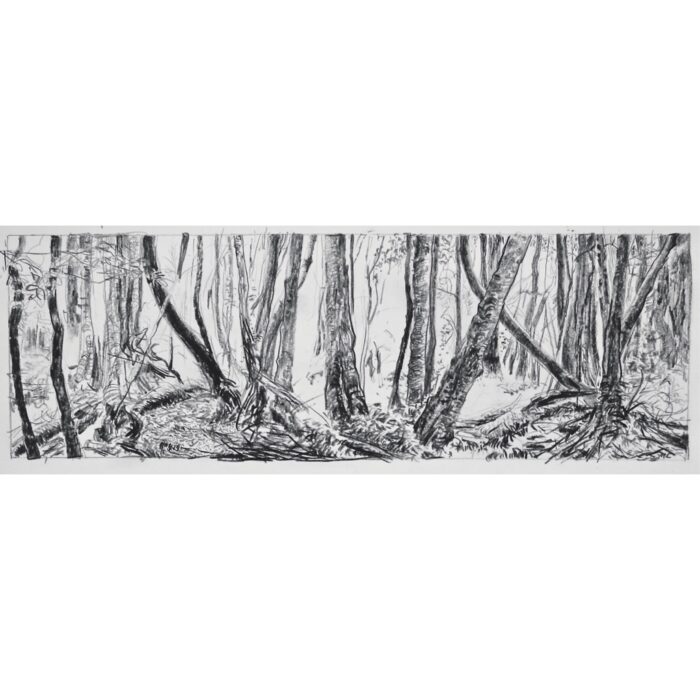 Cathedral of Ferns 5