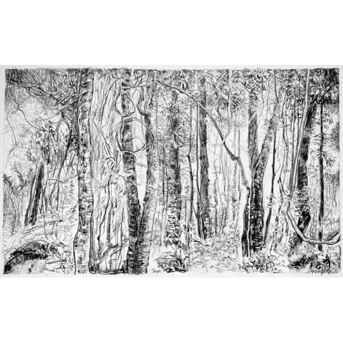 Cathedral of Ferns 6