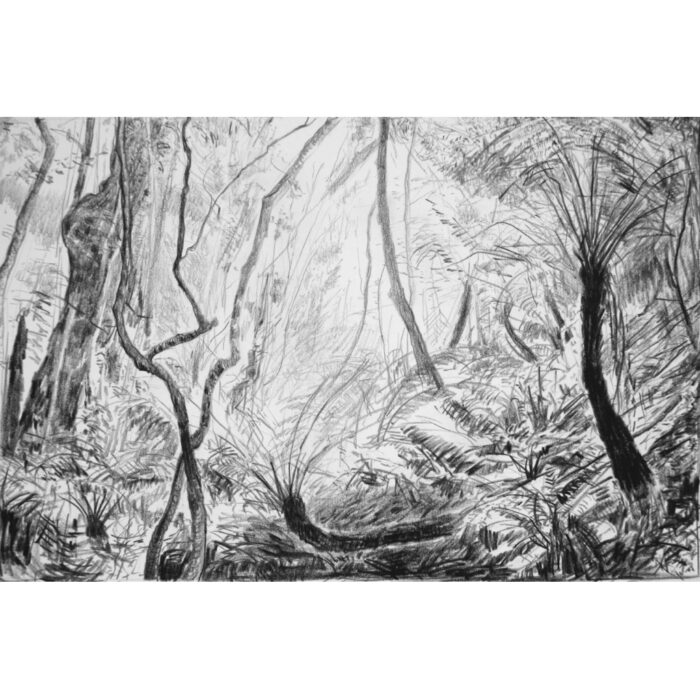 Cathedral of Ferns 7