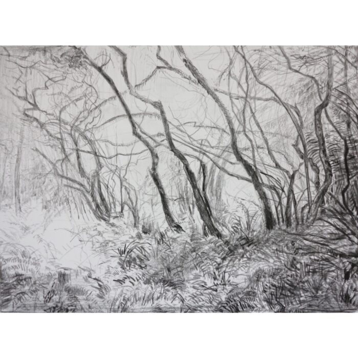 Cathedral of Ferns 8 drawing