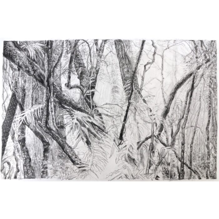 Cathedral of Ferns 16