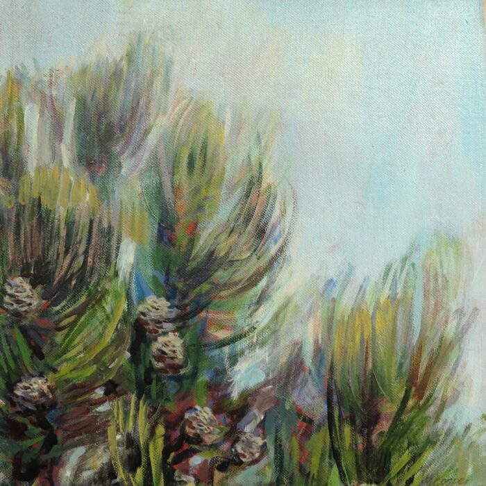 Cone Bush 2 B