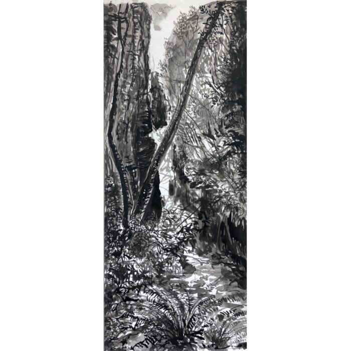 Devils Hole Canyon 3